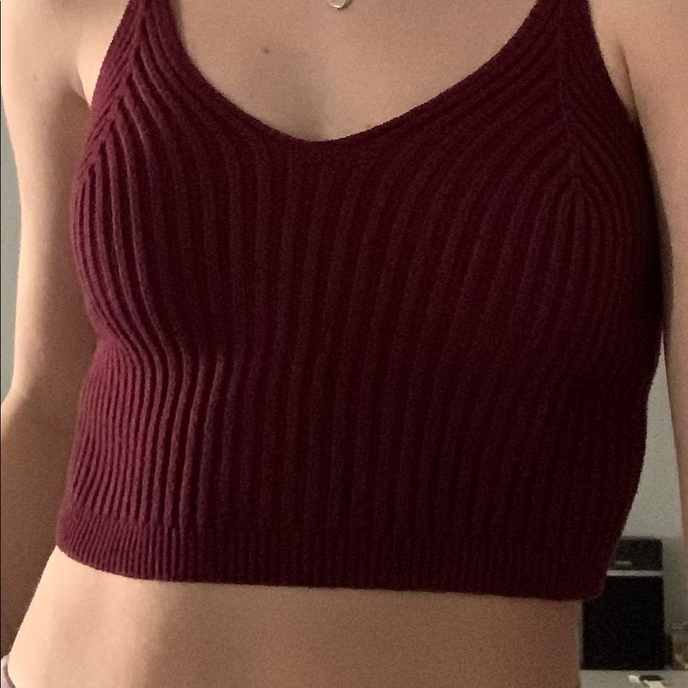LF burgundy crop top